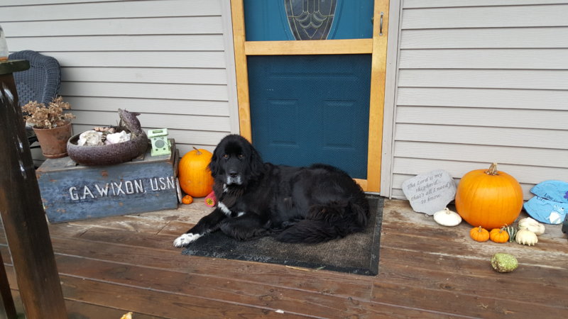 2015-10-23 13.19.09.jpg