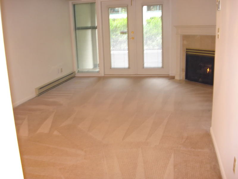 carpetcleaning009-1.jpg