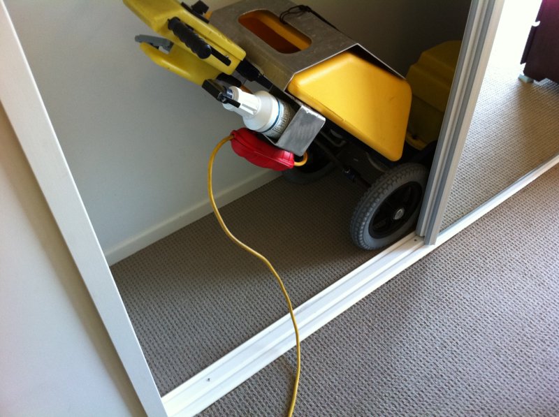 Cimex & tucker 005.JPG