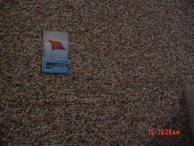 DSC00237.jpg