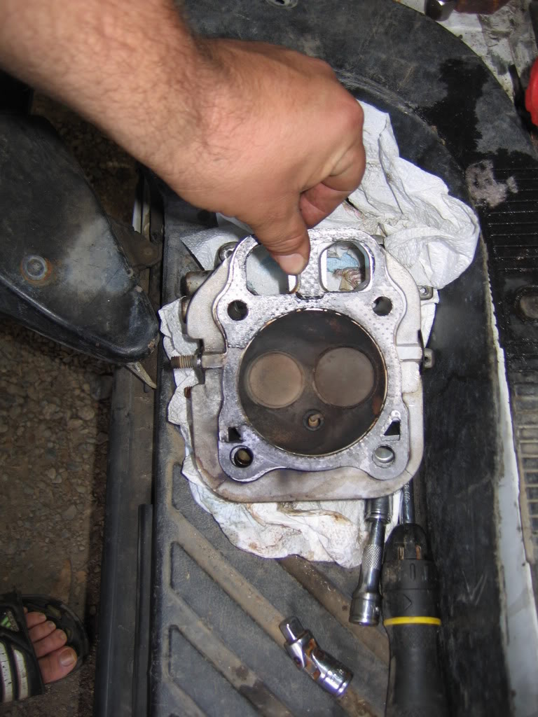 IMG_3226.jpg
