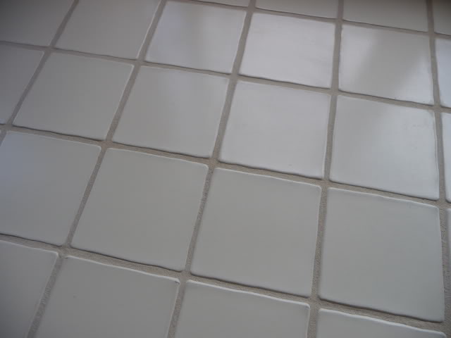 P1000635.jpg