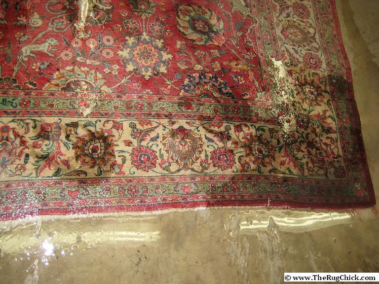 PB-Persianrug-Soakingcornerinacetic.jpg