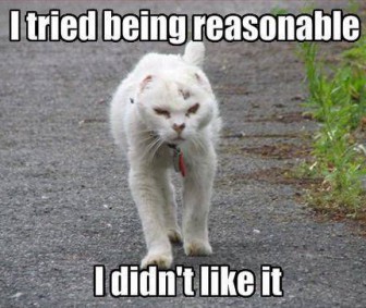Reasonable_Cat-336x283_zpsd92a362e.jpg