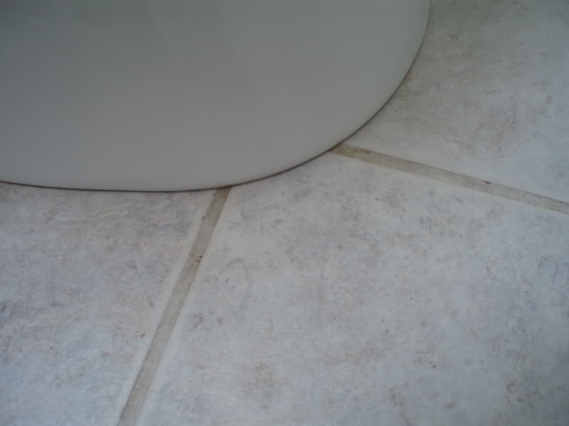 toilet1.jpg
