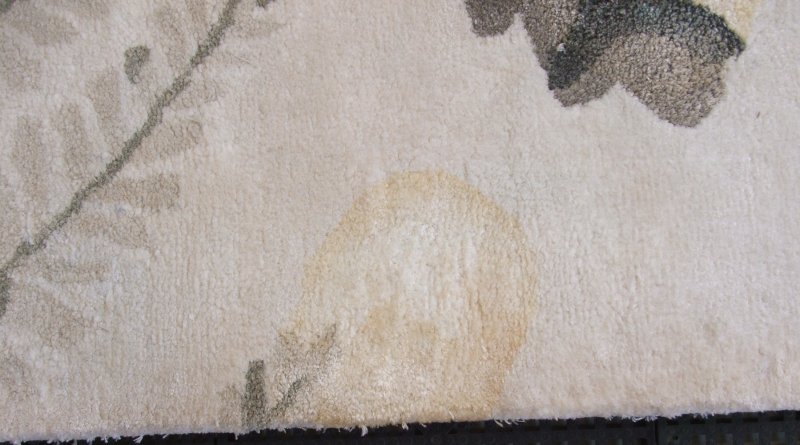 Wendy - heaviest stain.JPG