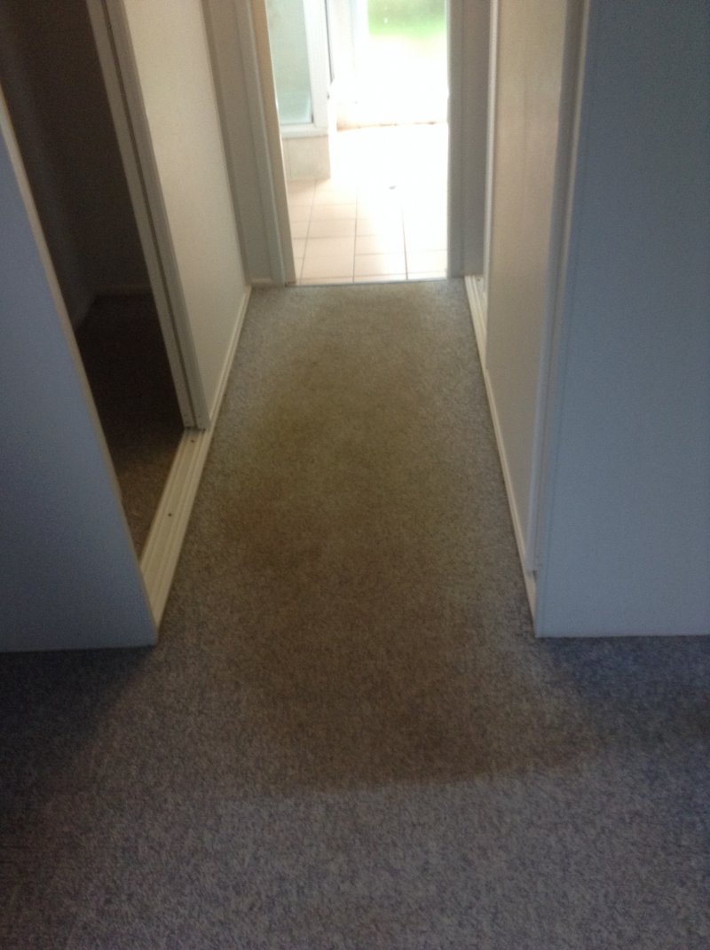 Wooley Ensuite B.JPG